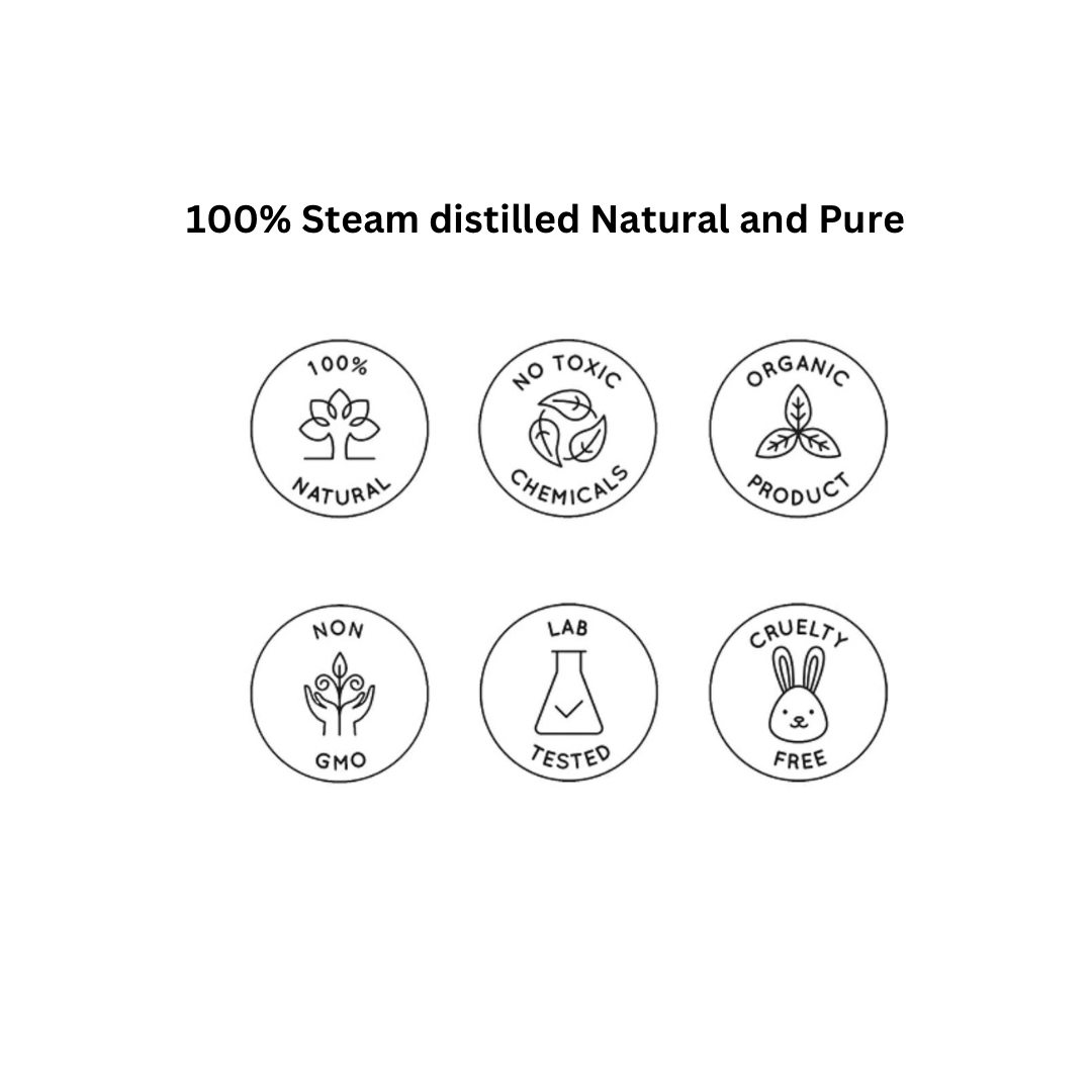 Rosemary hydrosol( Pure Steam Distilled) Rosemary water for Hair Growth