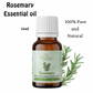 Rosemary Essential Oil for Hair