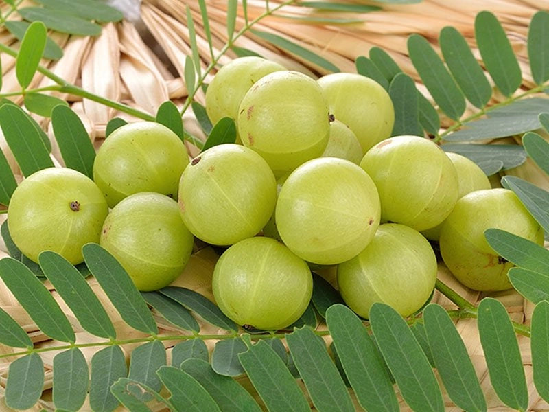 Amla Powder 50g