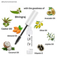 Eyebrows and Eyelashes Growth Serum