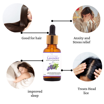 Lavender Essential Oil